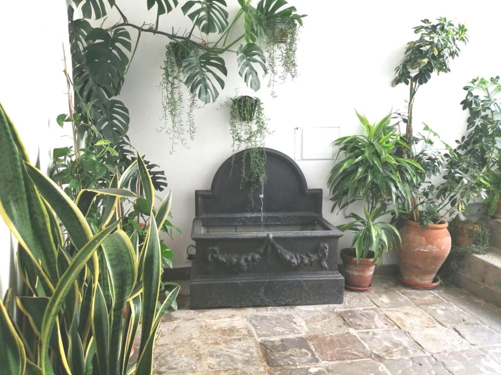 Ave Maria 7 Apartment Tarifa Exterior photo